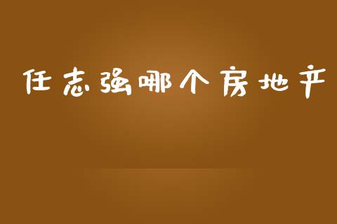 任志强哪个房地产_https://m.gongyisiwang.com_理财产品_第1张