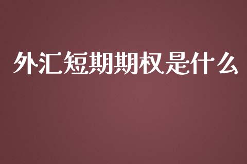 外汇短期期权是什么_https://m.gongyisiwang.com_财经咨询_第1张