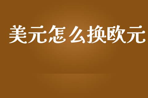 美元怎么换欧元_https://m.gongyisiwang.com_债券咨询_第1张