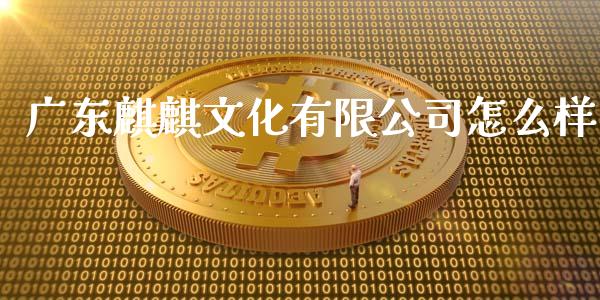 广东麒麒文化有限公司怎么样_https://m.gongyisiwang.com_理财产品_第1张