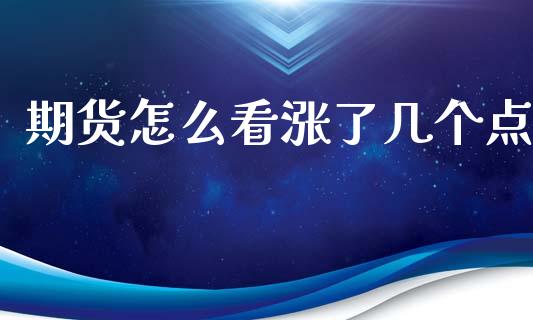 期货怎么看涨了几个点_https://m.gongyisiwang.com_保险理财_第1张