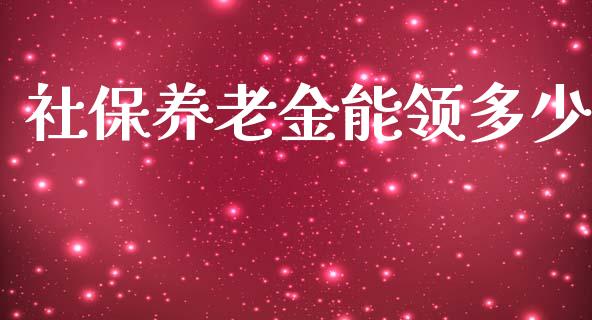 社保养老金能领多少_https://m.gongyisiwang.com_债券咨询_第1张