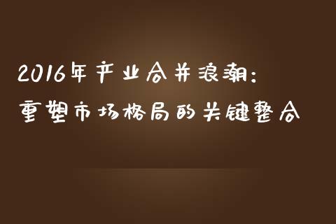 2016年产业合并浪潮：重塑市场格局的关键整合_https://m.gongyisiwang.com_理财投资_第1张
