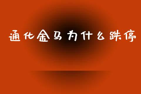 通化金马为什么跌停_https://m.gongyisiwang.com_信托投资_第1张