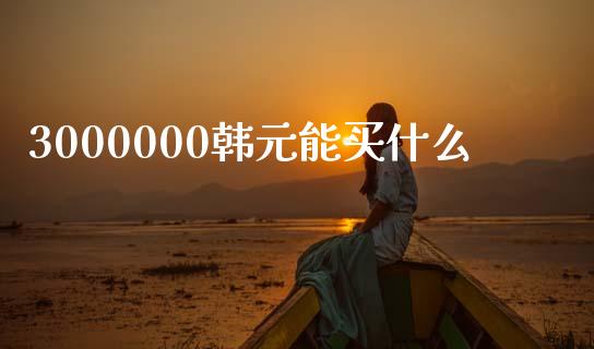 3000000韩元能买什么_https://m.gongyisiwang.com_保险理财_第1张