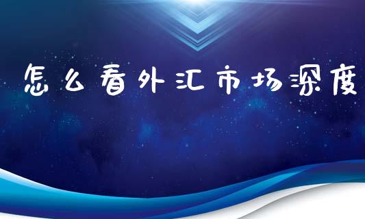 怎么看外汇市场深度_https://m.gongyisiwang.com_信托投资_第1张