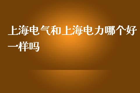 上海电气和上海电力哪个好一样吗_https://m.gongyisiwang.com_保险理财_第1张