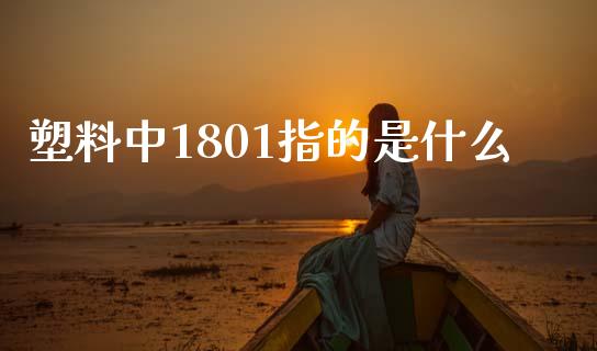 塑料中1801指的是什么_https://m.gongyisiwang.com_保险理财_第1张