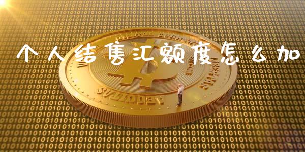 个人结售汇额度怎么加_https://m.gongyisiwang.com_理财产品_第1张