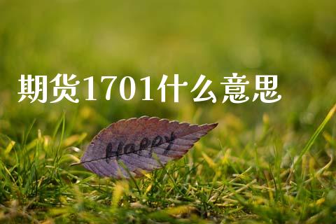 期货1701什么意思_https://m.gongyisiwang.com_信托投资_第1张