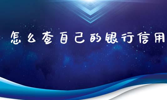 怎么查自己的银行信用_https://m.gongyisiwang.com_理财产品_第1张