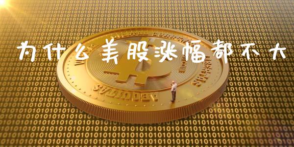 为什么美股涨幅都不大_https://m.gongyisiwang.com_理财产品_第1张