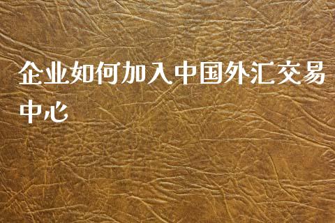 企业如何加入中国外汇交易中心_https://m.gongyisiwang.com_商业资讯_第1张