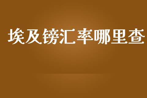 埃及镑汇率哪里查_https://m.gongyisiwang.com_财经时评_第1张