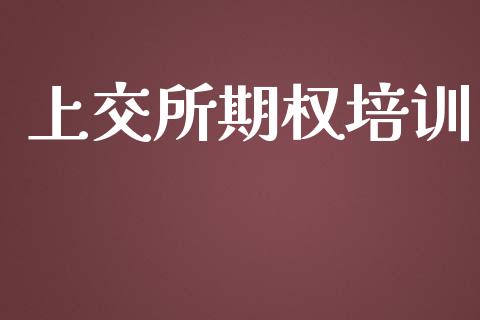 上交所期权培训_https://m.gongyisiwang.com_信托投资_第1张