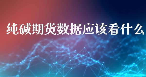 纯碱期货数据应该看什么_https://m.gongyisiwang.com_理财投资_第1张