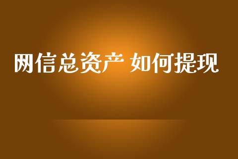 网信总资产 如何提现_https://m.gongyisiwang.com_理财投资_第1张