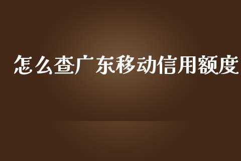 怎么查广东移动信用额度_https://m.gongyisiwang.com_信托投资_第1张