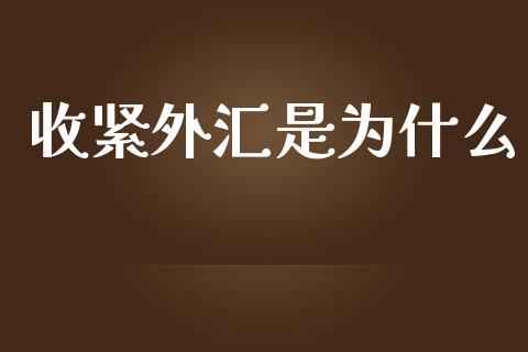 收紧外汇是为什么_https://m.gongyisiwang.com_商业资讯_第1张