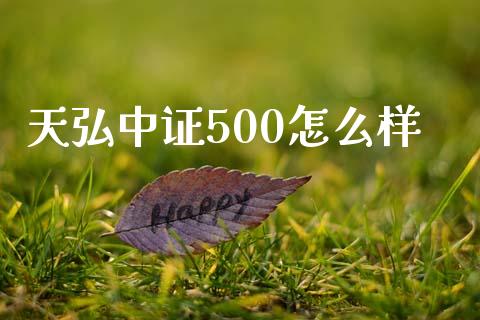 天弘中证500怎么样_https://m.gongyisiwang.com_财经时评_第1张