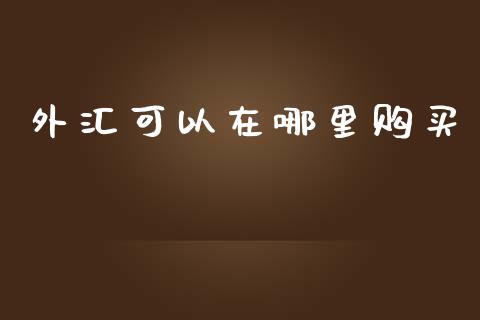 外汇可以在哪里购买_https://m.gongyisiwang.com_保险理财_第1张