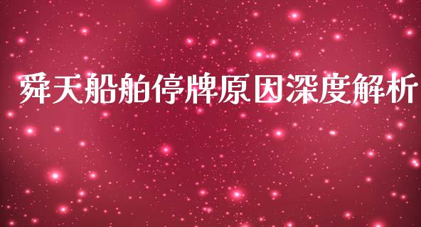 舜天船舶停牌原因深度解析_https://m.gongyisiwang.com_财经咨询_第1张