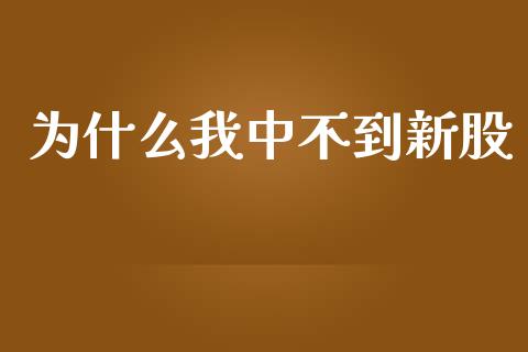 为什么我中不到新股_https://m.gongyisiwang.com_保险理财_第1张