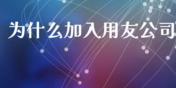 为什么加入用友公司_https://m.gongyisiwang.com_财经咨询_第1张