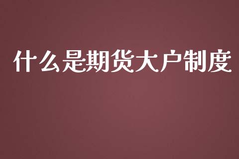 什么是期货大户制度_https://m.gongyisiwang.com_保险理财_第1张