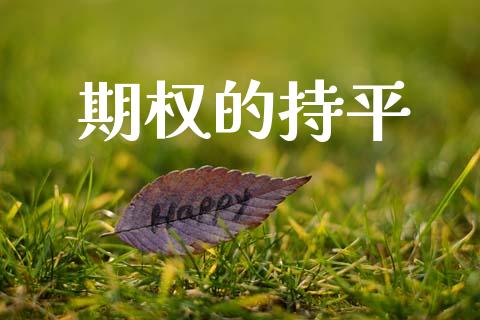 期权的持平_https://m.gongyisiwang.com_债券咨询_第1张