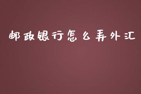 邮政银行怎么弄外汇_https://m.gongyisiwang.com_信托投资_第1张