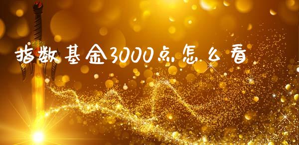 指数基金3000点怎么看_https://m.gongyisiwang.com_财经时评_第1张