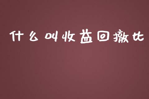 什么叫收益回撤比_https://m.gongyisiwang.com_保险理财_第1张