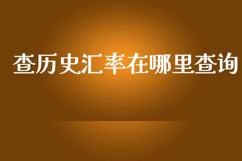 查历史汇率在哪里查询_https://m.gongyisiwang.com_债券咨询_第1张