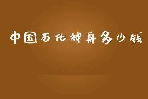 中国石化神舟多少钱_https://m.gongyisiwang.com_商业资讯_第1张