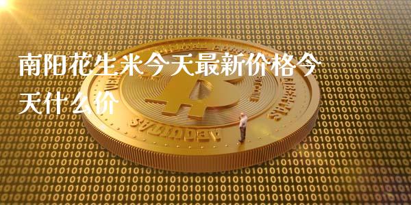 南阳花生米今天最新价格今天什么价_https://m.gongyisiwang.com_理财投资_第1张