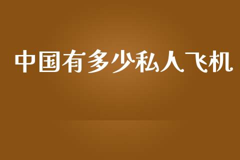 中国有多少私人飞机_https://m.gongyisiwang.com_商业资讯_第1张