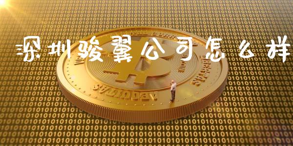 深圳骏翼公司怎么样_https://m.gongyisiwang.com_保险理财_第1张