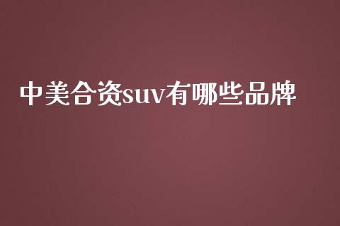 中美合资suv有哪些品牌_https://m.gongyisiwang.com_信托投资_第1张