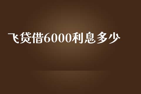 飞贷借6000利息多少_https://m.gongyisiwang.com_财经时评_第1张