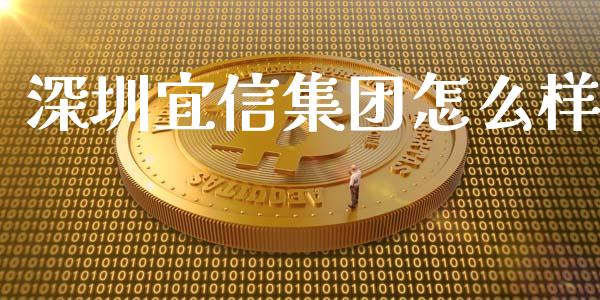 深圳宜信集团怎么样_https://m.gongyisiwang.com_保险理财_第1张