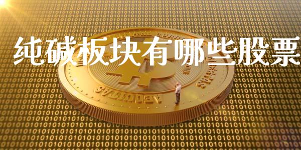 纯碱板块有哪些股票_https://m.gongyisiwang.com_商业资讯_第1张