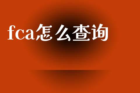 fca怎么查询_https://m.gongyisiwang.com_商业资讯_第1张