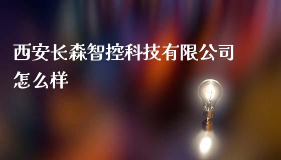 西安长森智控科技有限公司怎么样_https://m.gongyisiwang.com_财经时评_第1张