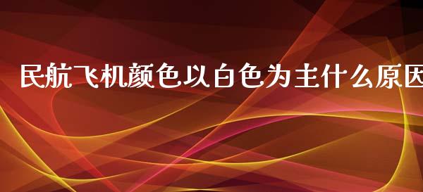 民航飞机颜色以白色为主什么原因_https://m.gongyisiwang.com_财经咨询_第1张