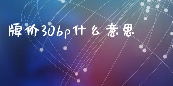 牌价30bp什么意思_https://m.gongyisiwang.com_保险理财_第1张