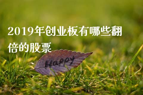 2019年创业板有哪些翻倍的股票_https://m.gongyisiwang.com_保险理财_第1张