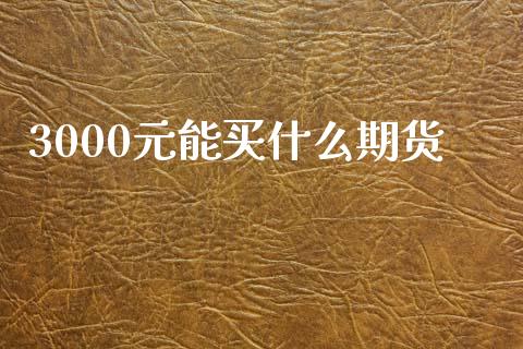 3000元能买什么期货_https://m.gongyisiwang.com_理财产品_第1张