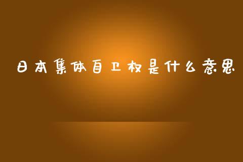 日本集体自卫权是什么意思_https://m.gongyisiwang.com_财经时评_第1张