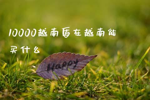 10000越南盾在越南能买什么_https://m.gongyisiwang.com_理财投资_第1张